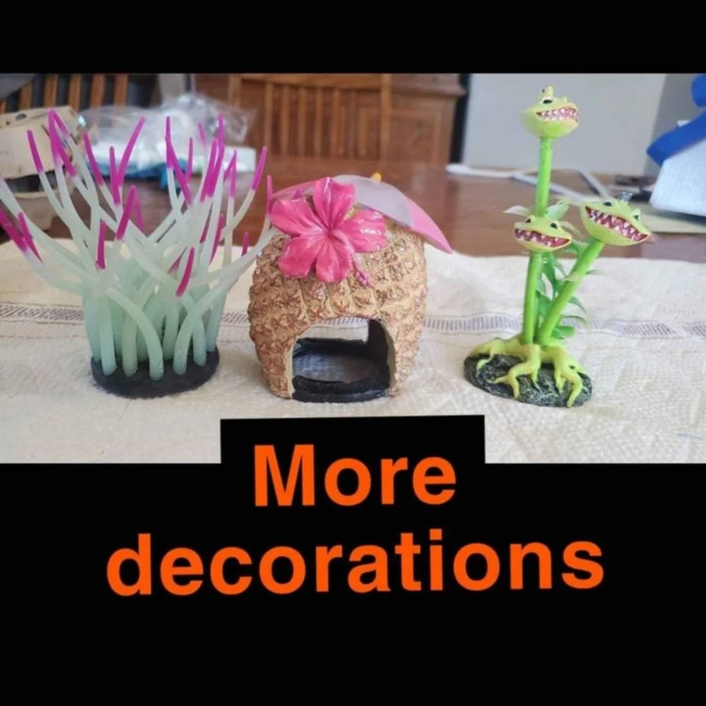 Fish Tank + Supplies